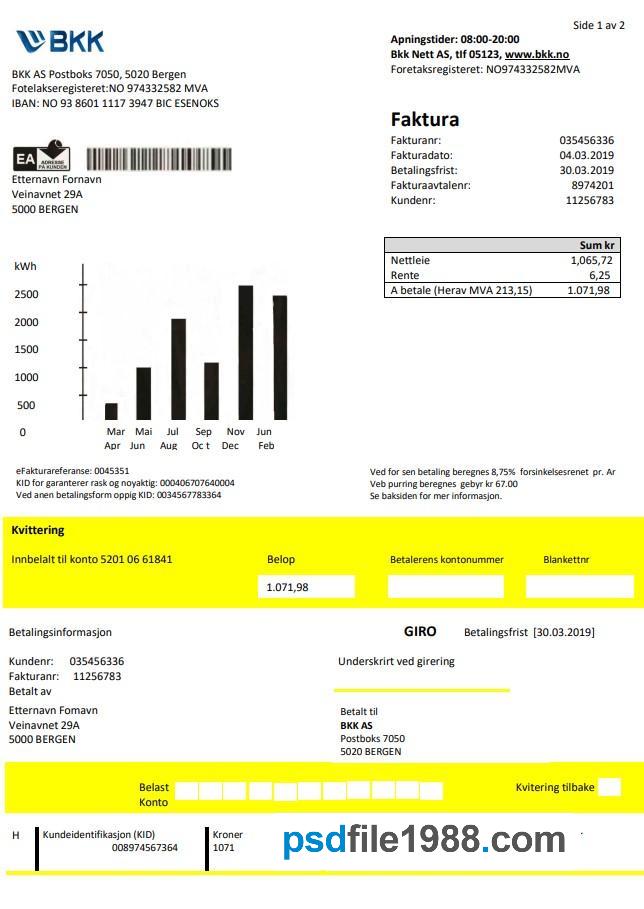 Norway BKK Electricity Utility Bill